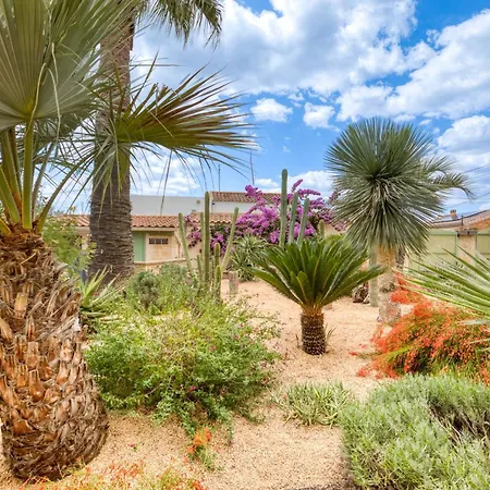 Bed & Breakfast La Palmeraie - Musique Portiragnes