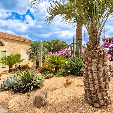 Bed & Breakfast La Palmeraie - Musique Portiragnes